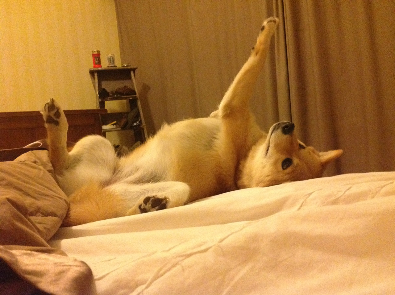 踏雪寻梅，格列兹曼在丹麦寒夜中扛起巴萨的尊严之战