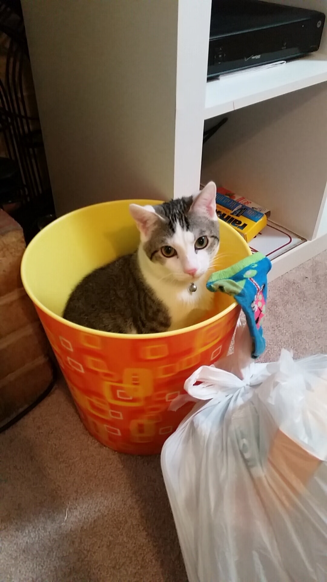 网球江山如此多娇，拉沃尔杯力克联合杯，德约科维奇状态诠释唯一性