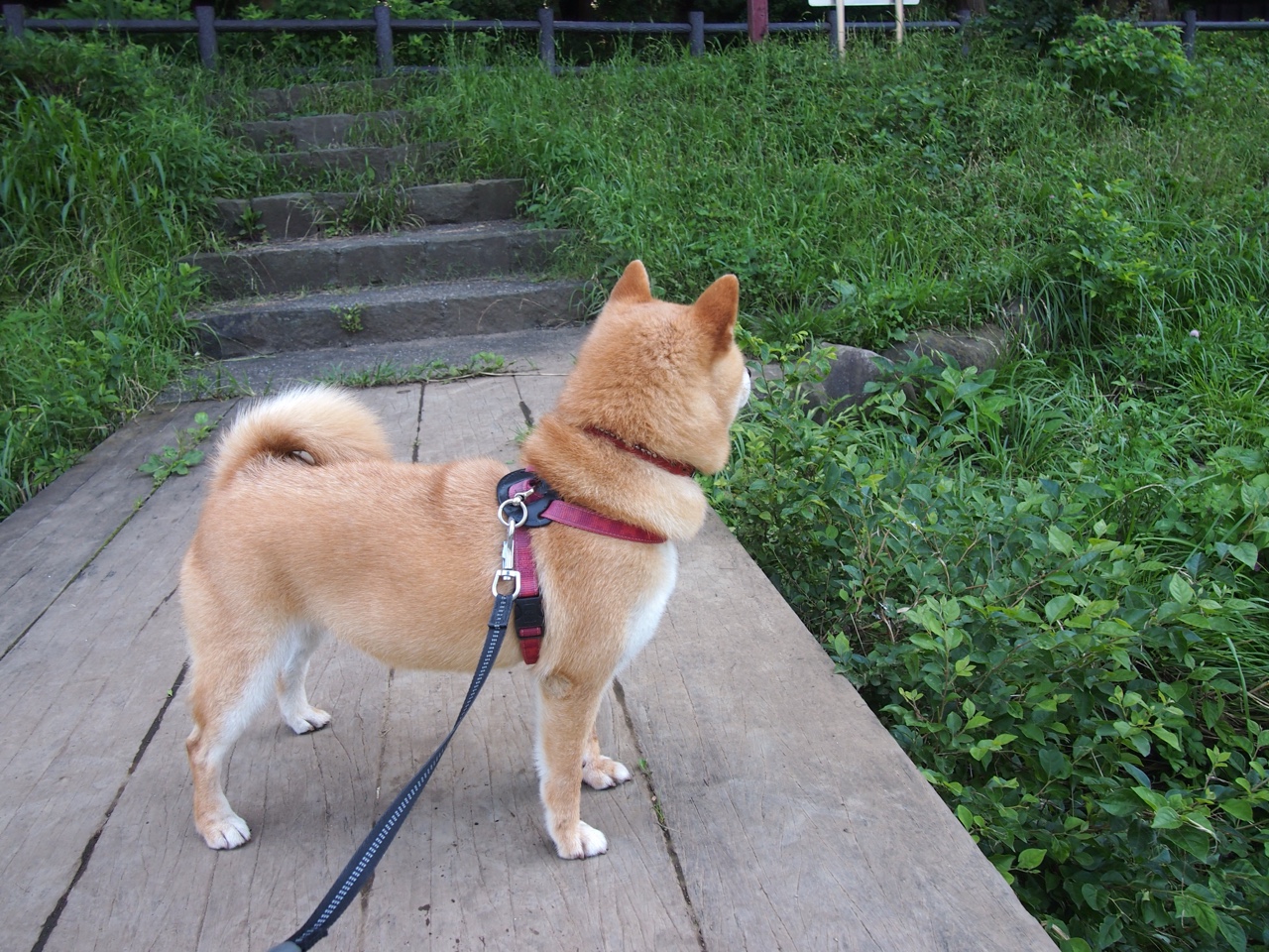 最后的答案，伦纳德与张镇麟诠释终结者真义