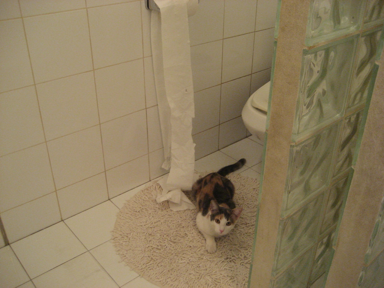 浓眉戴维斯生涯之夜狂砍55分25篮板，湖人表演赛力克广东队