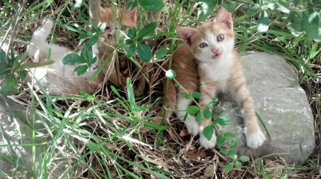 雷霆西征？不，这是一场跨越时空的东决鏖战！