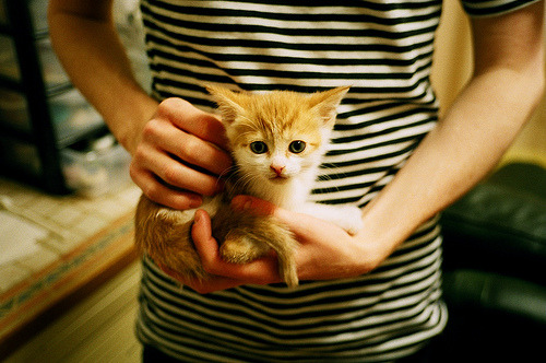 翡翠与月光，当摩洛哥之翼在欧冠的穹顶下终结里昂王朝