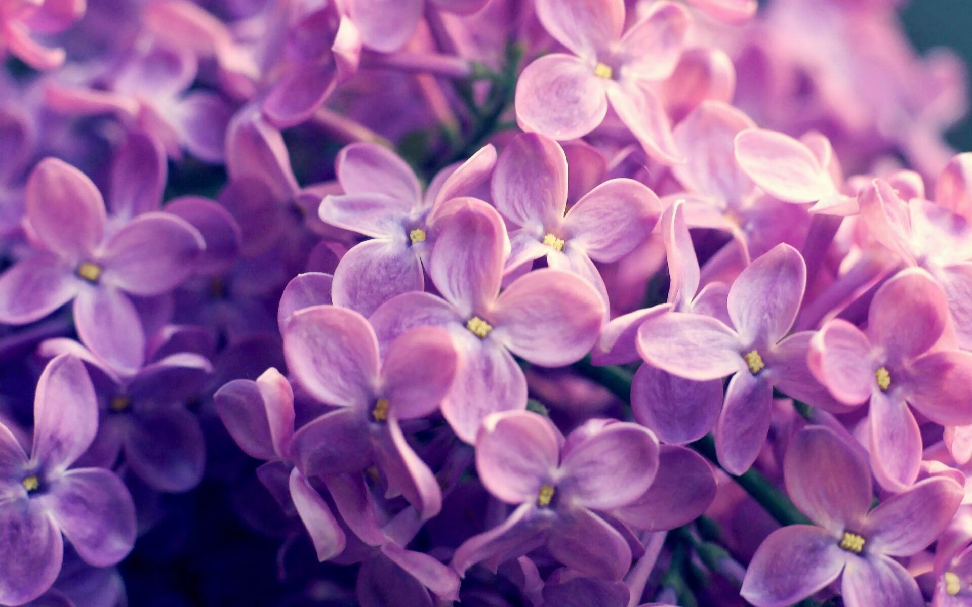 冰与火的碰撞，当76人遭遇爵士，拉梅洛的绝杀之光如何撕裂盐湖城的防线