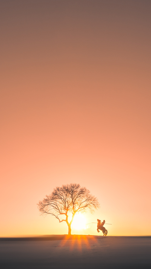 冰火之歌，吉林铁骑与哈登神迹—当团队风暴撞上个人英雄主义