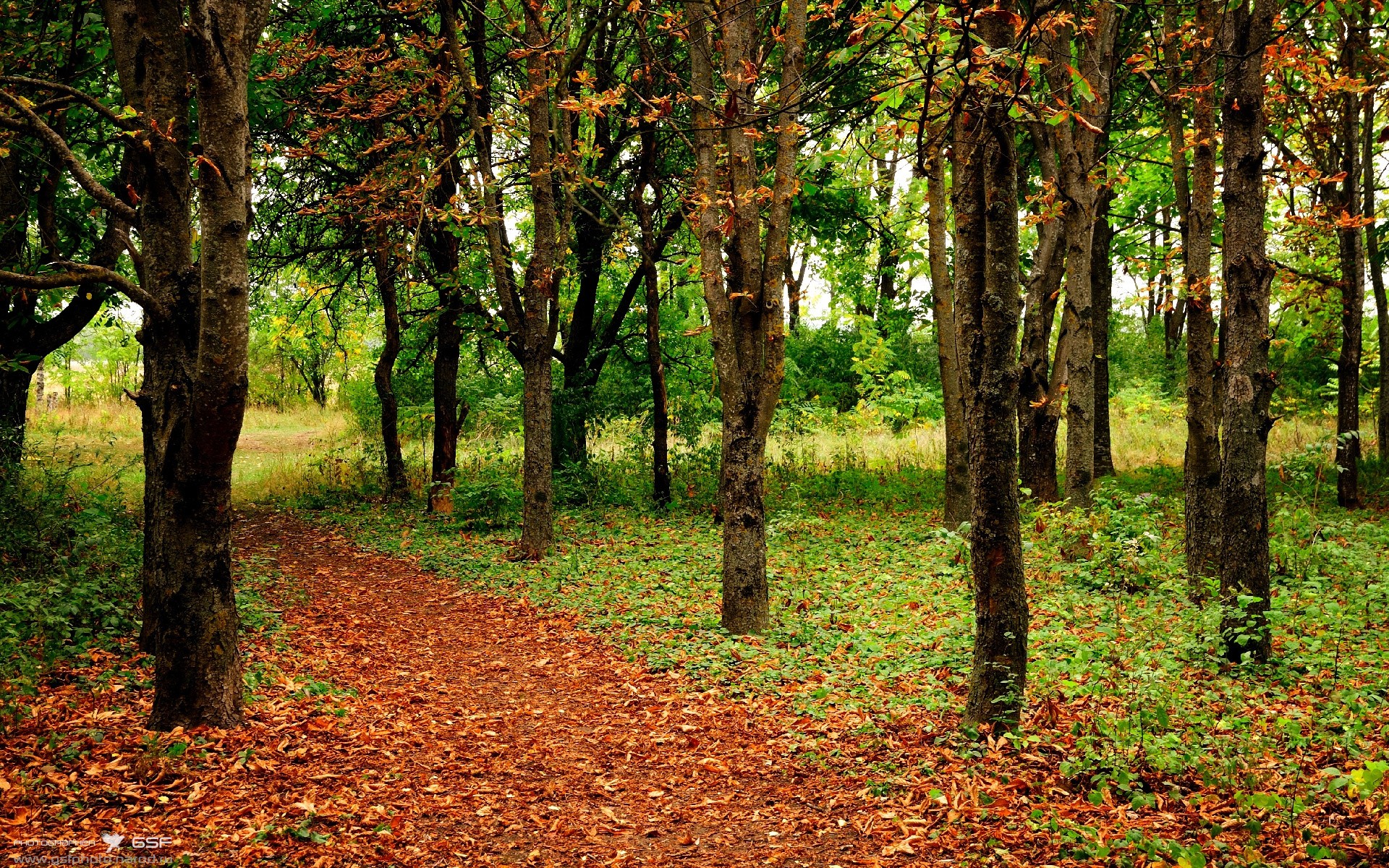 防守之神陷落之夜，当范戴克数据爆炸遭遇委内瑞拉式逆袭