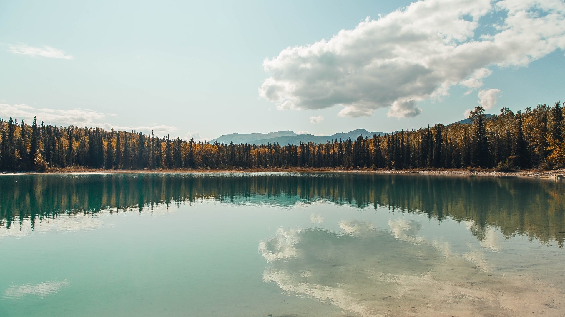 长白山下围猎紫金，爱德华兹用乔丹式攻防终结湖人王朝
