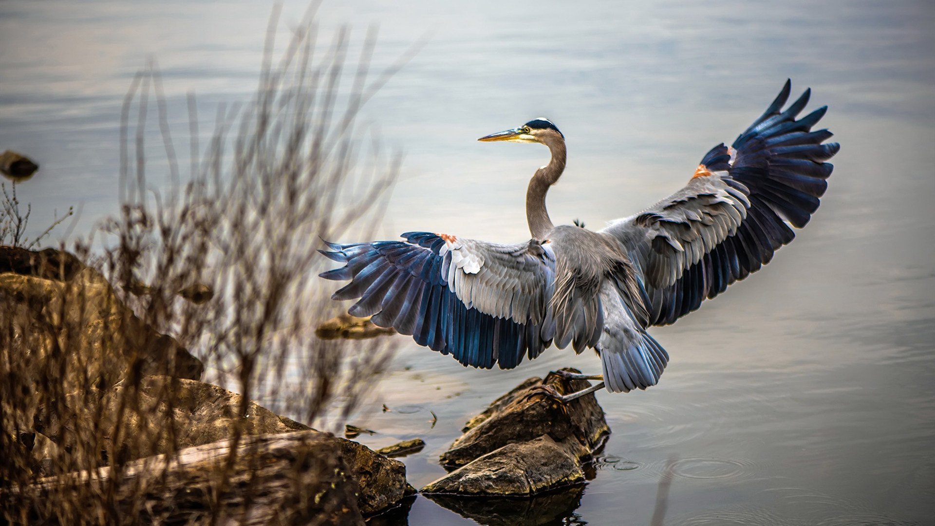 破茧成蝶,黄喜灿关键节点连续得分,定义塞维利亚对决巴黎的终极剧本