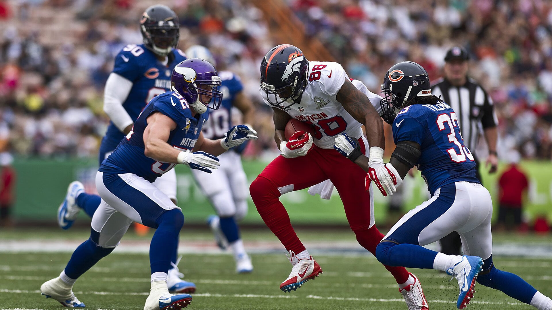 浓眉如刀，一场非典型浓眉如何切开西北狼群