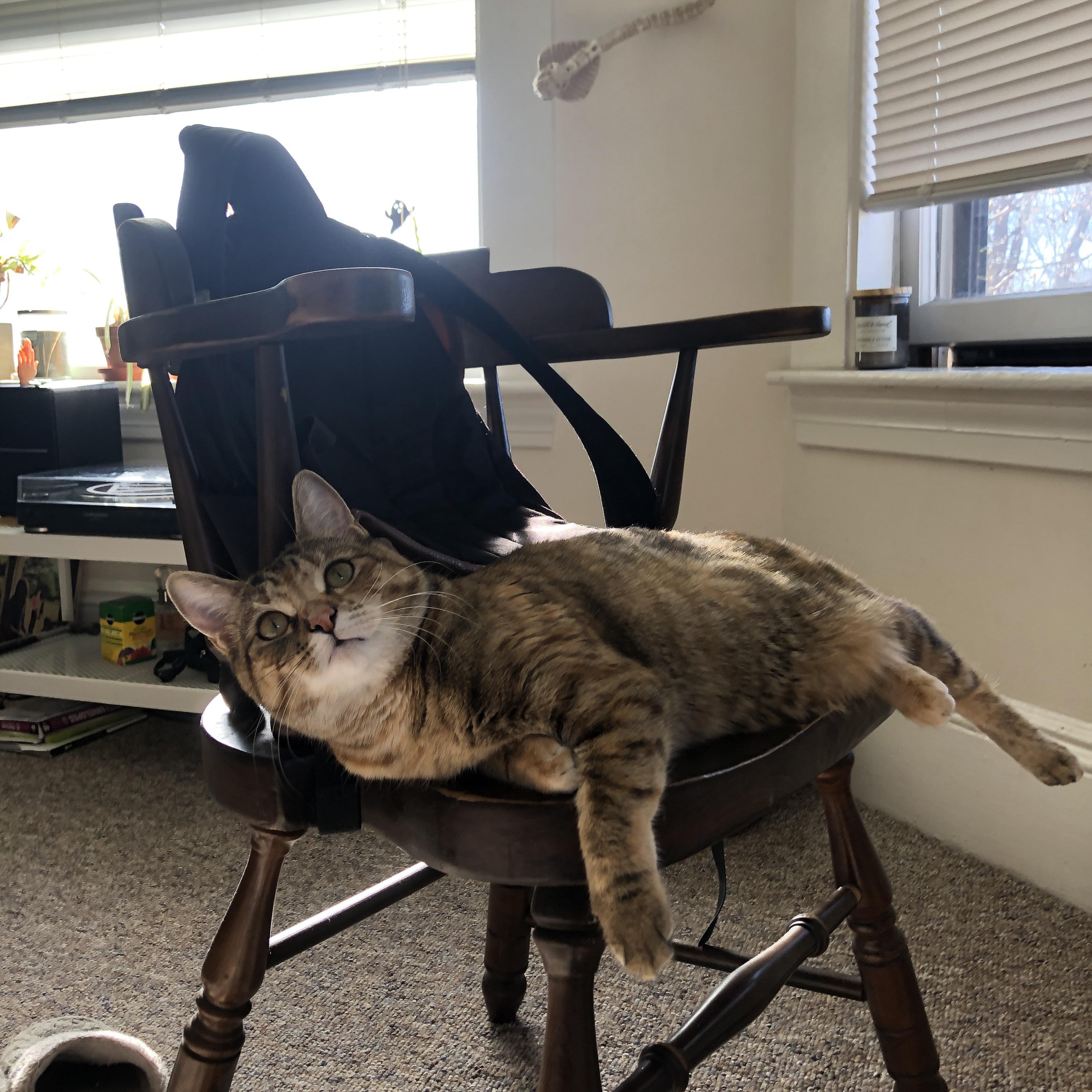 王权更迭之夜，当恩比德国王冲垮篮网，NBA季后赛诞生新法则