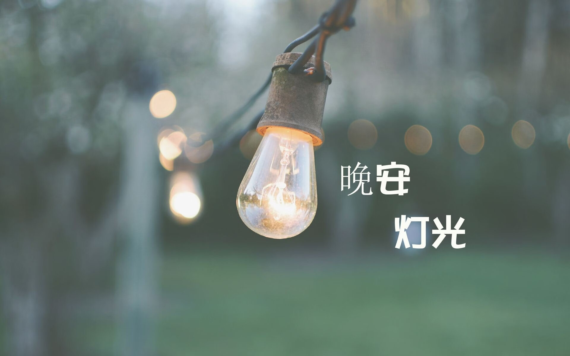 郁金香绽放死亡之组,2026世界杯D组强强对话,荷兰击败罗马尼亚,凯恩闪耀全场
